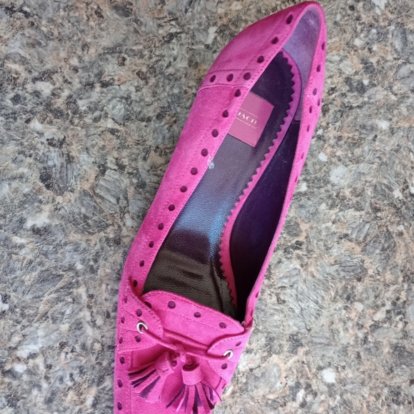 Coach Pretty In Pink Suede Tassel Kitten Heel Pumps Size 7B (04) - Picture 5 of 11